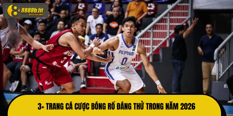 3+ trang cá cược bóng rổ đáng thử trong năm 2026