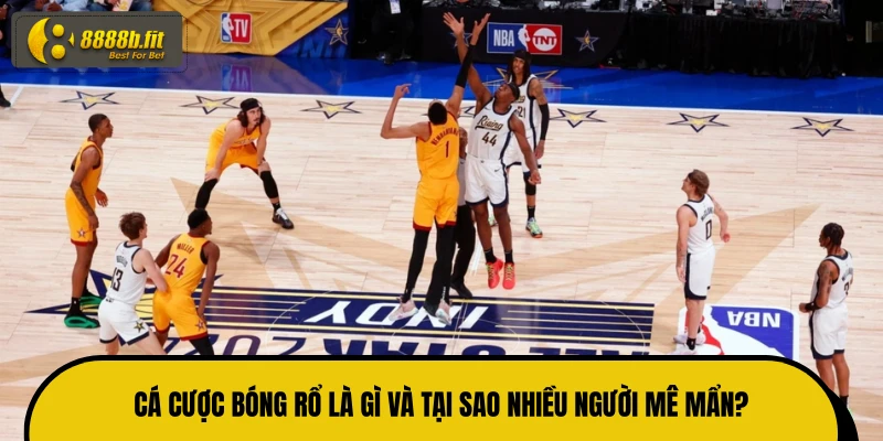 Cá cược bóng rổ là gì và tại sao nhiều người mê mẩn?