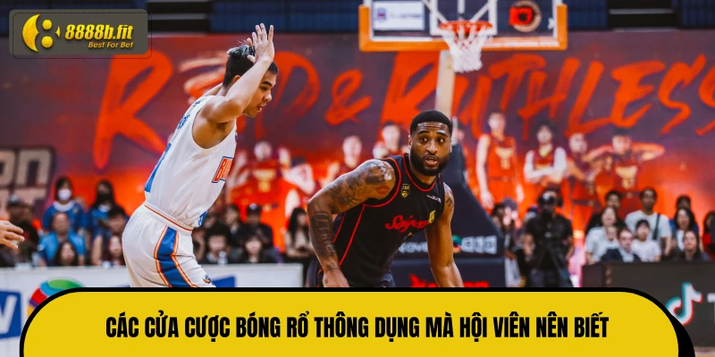 Các cửa cược bóng rổ thông dụng mà hội viên nên biết