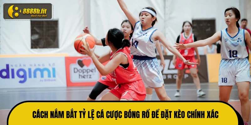 Cách nắm bắt tỷ lệ cá cược bóng rổ để đặt kèo chính xác