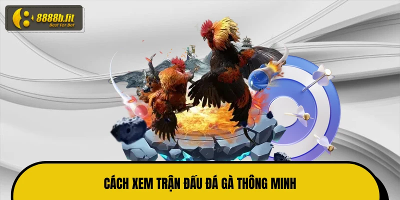 Cách xem trận đấu đá gà thông minh