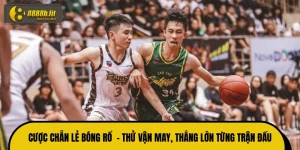 Cược Chẵn Lẻ Bóng Rổ  - Thử Vận May, Thắng Lớn Từng Trận Đấu