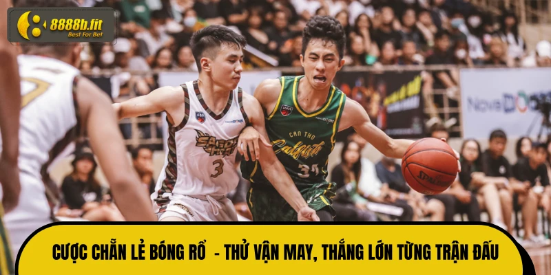 Cược Chẵn Lẻ Bóng Rổ  - Thử Vận May, Thắng Lớn Từng Trận Đấu