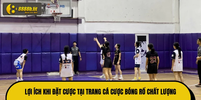 Lợi ích khi đặt cược tại trang cá cược bóng rổ chất lượng