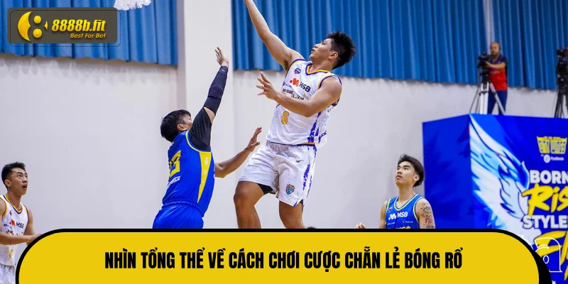Nhìn tổng thể về cách chơi cược chẵn lẻ bóng rổ