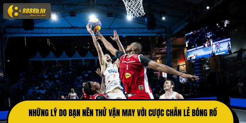 Những lý do bạn nên thử vận may với cược chẵn lẻ bóng rổ