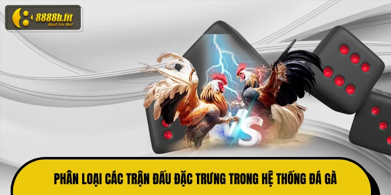 Phân loại các trận đấu đặc trưng trong hệ thống đá gà