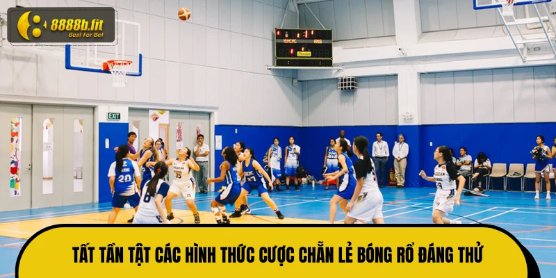 Tất tần tật các hình thức cược chẵn lẻ bóng rổ đáng thử 