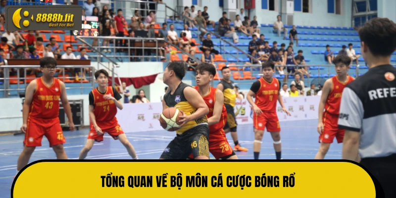 Tổng quan về bộ môn cá cược bóng rổ 