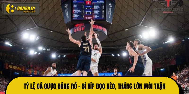 Tỷ Lệ Cá Cược Bóng Rổ - Bí Kíp Đọc Kèo, Thắng Lớn Mỗi Trận